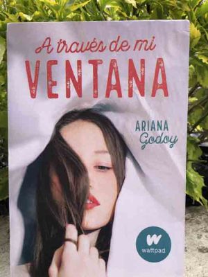 A través de mi ventana