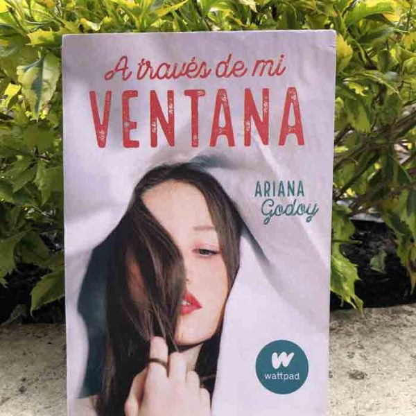 A través de mi ventana